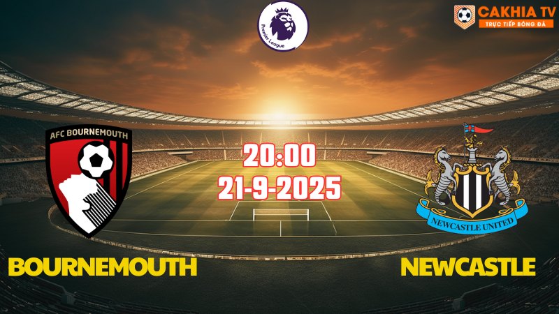 bournemouth-vs-newcastle